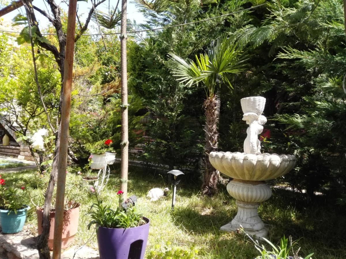 Casa de Férias Arti *