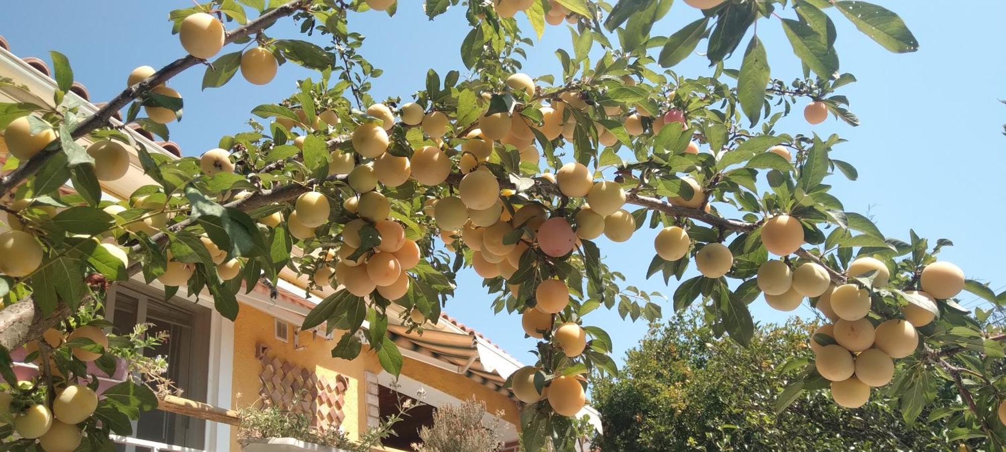 Hébergement de vacances Arti Ksamil