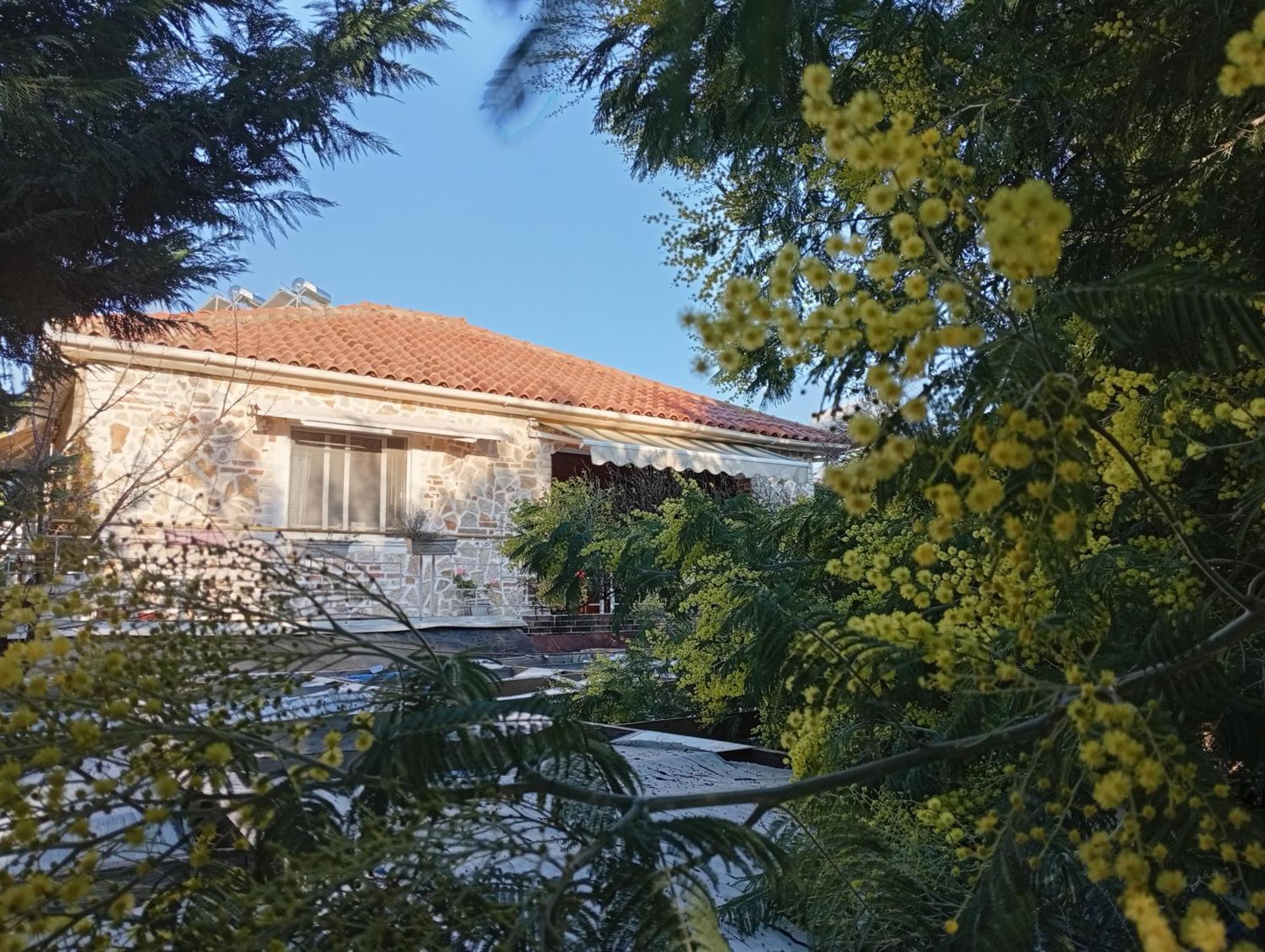 Arti Hébergement de vacances Ksamil