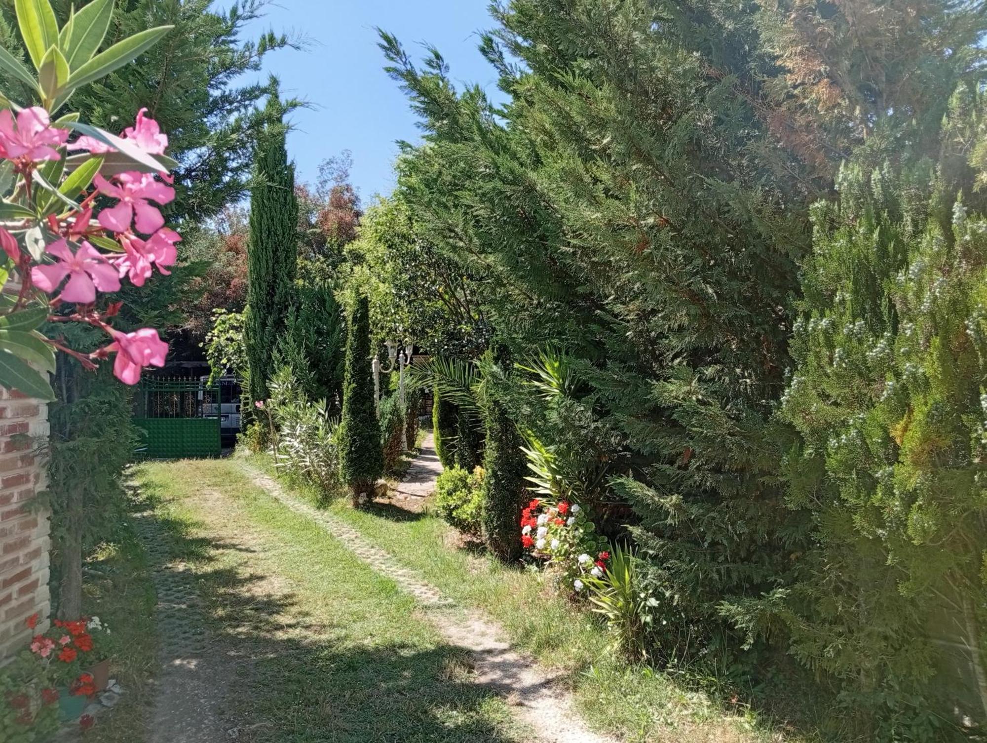 Arti Hébergement de vacances Ksamil