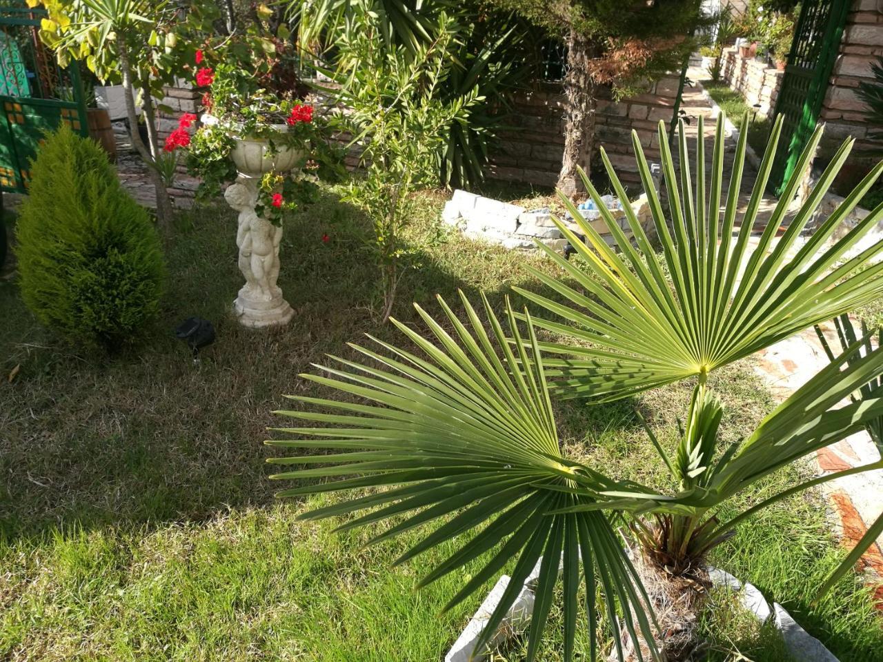 Arti Hébergement de vacances Ksamil