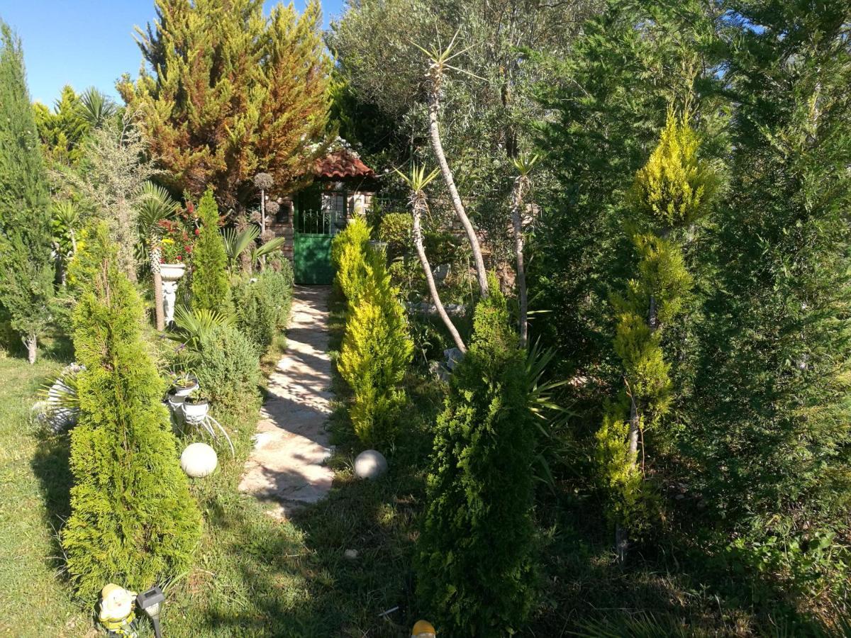 Casa de Férias Arti