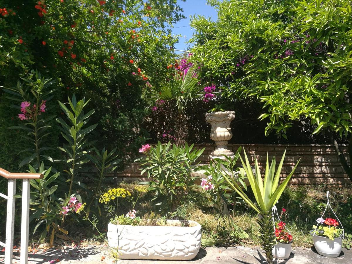 Arti Casa de Férias *